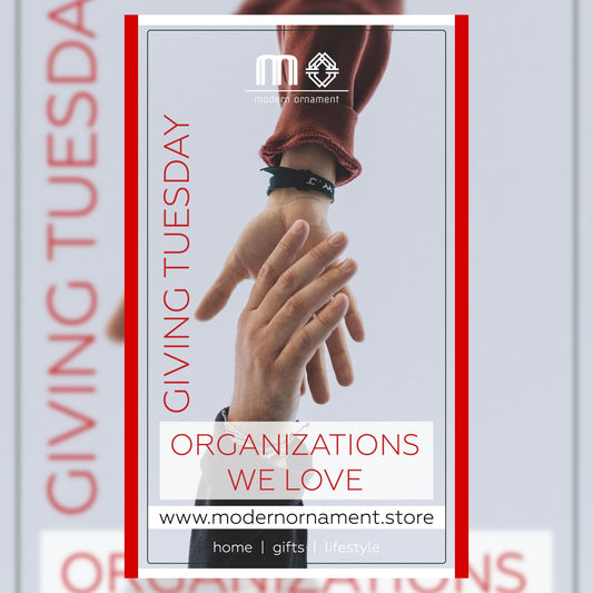 Giving Tuesday - Organizations We Love!