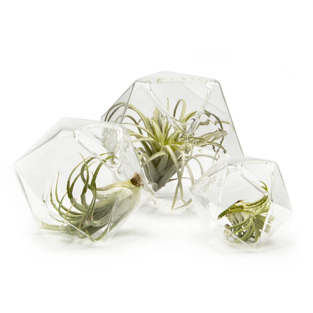 Faceted Medium Glass Vase