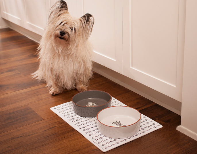 Large Grey Dog Dish 7.24" Diameter 3.44 cups