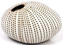 White and Brown Pebble Mini Vase