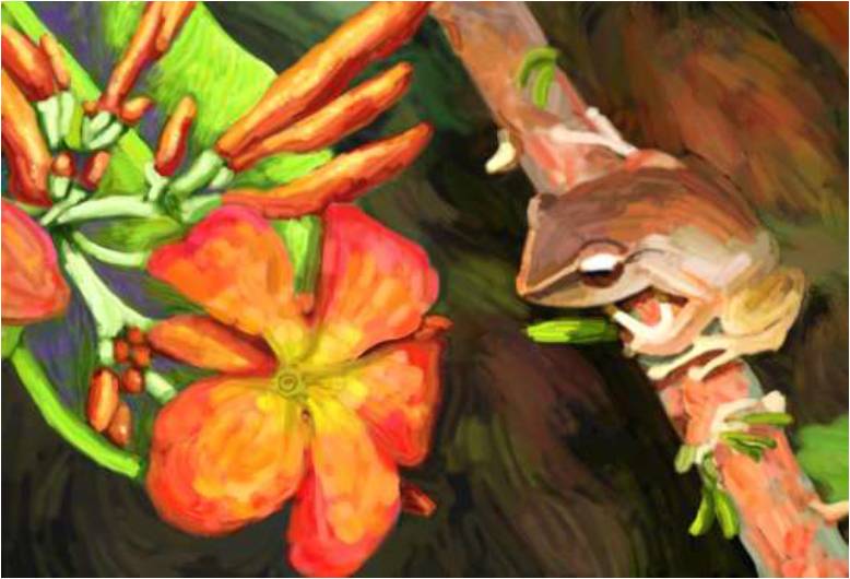 Coqui with Flower Puerto Rico Artwork