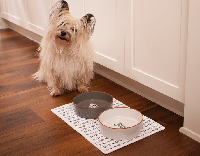 White Paw Placemat