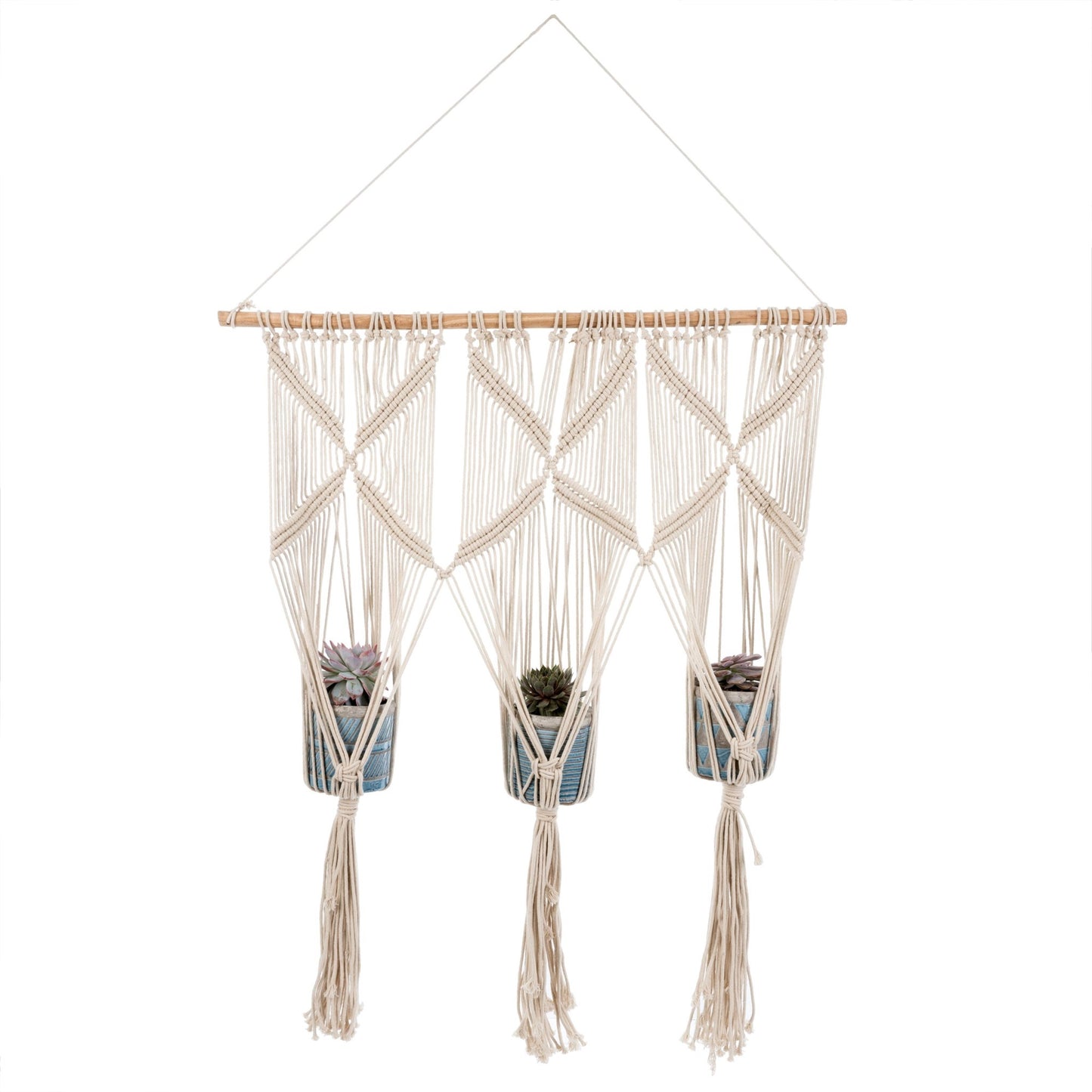 Macrame Wall Hanging Planter