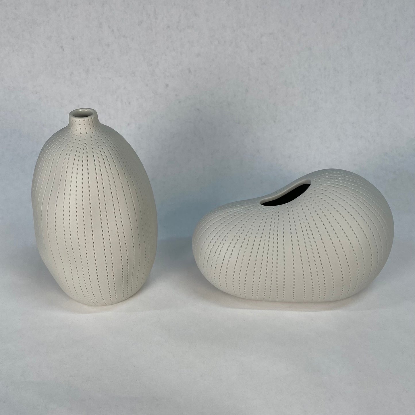 Small White Textured Gourd