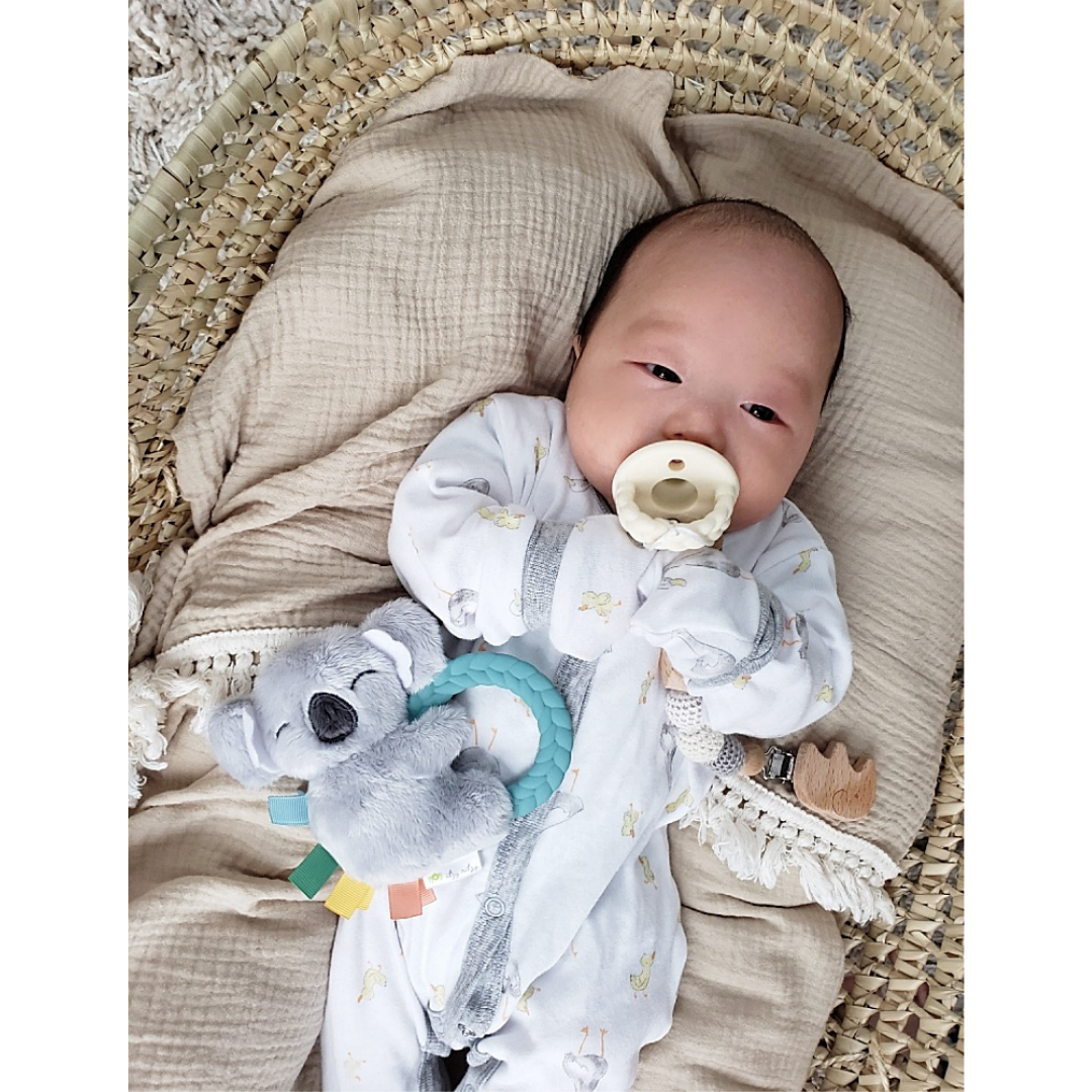 Koala Plush Rattle Teether Toy